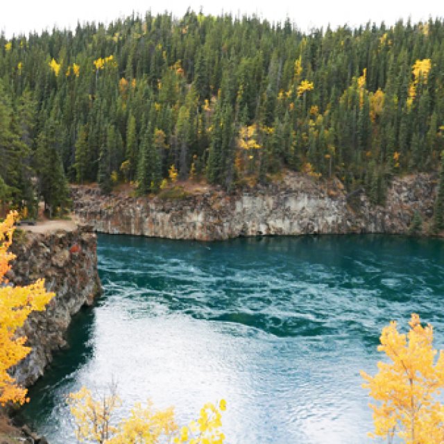 Arctic Day: Hiking Tour | half day (Sep 15, 2017)