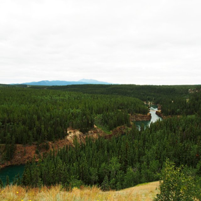 Arctic Day: Hiking Tour | half day (Jul 27, 2017)