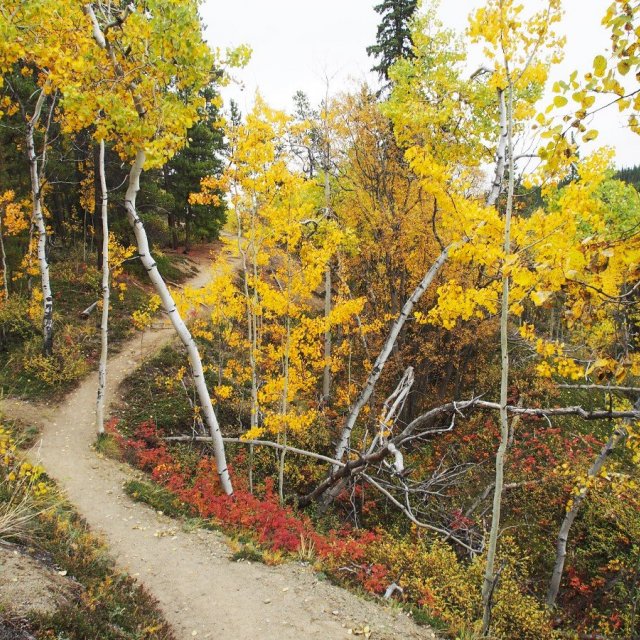 Arctic Day: Hiking Tour | half day (Sep 22, 2018)
