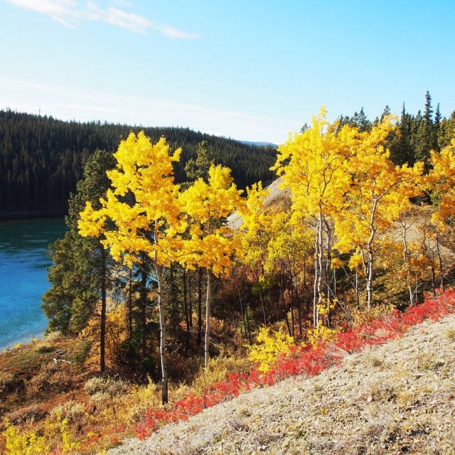 Arctic Day: Hiking Tour | half day (Sep 28, 2018)
