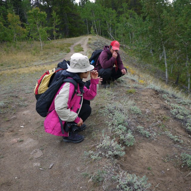 Arctic Day: Hiking Tour | half day (Aug 26, 2014)