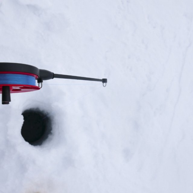 Arctic Day: Ice Fishing | half day (Feb 19, 2017)