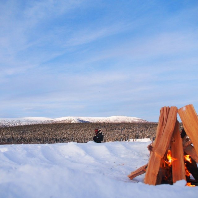 Arctic Day: Ice Fishing | half day (Jan 28, 2019)