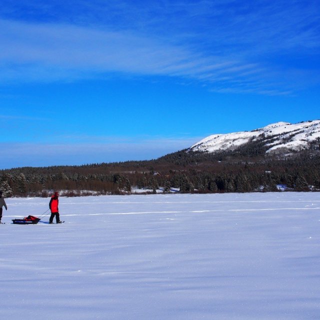 Arctic Day: Ice Fishing & Snowshoeing | half day (Feb 2, 2022)