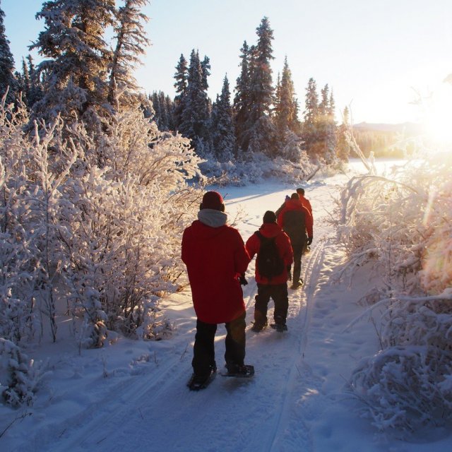 Arctic Day: Ice Fishing & Snowshoeing | half day (Dec 17, 2019)