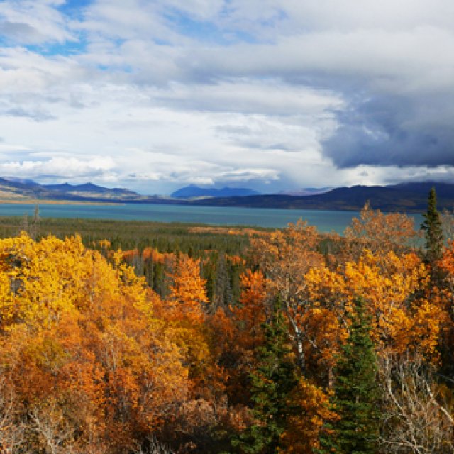Arctic Day: Kluane National Park Tour | full day (Sep 24, 2017)