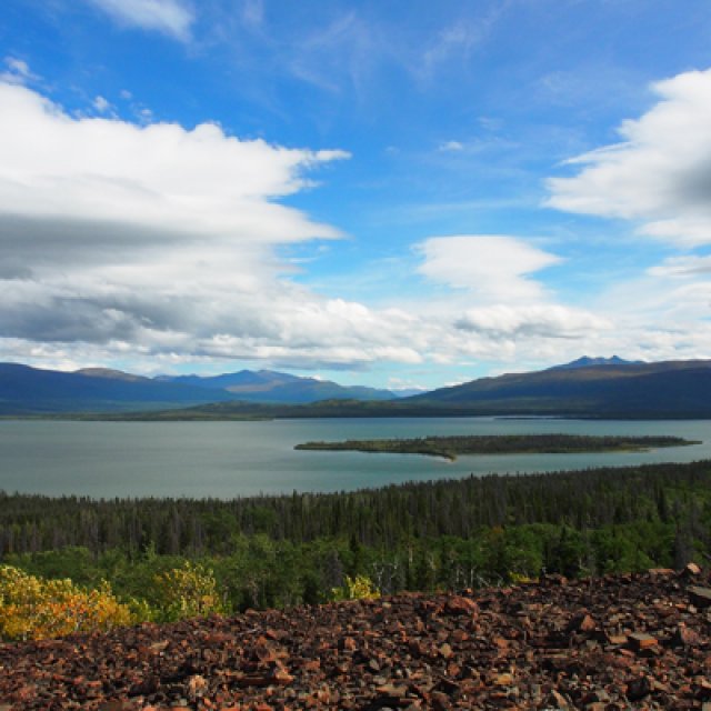 Arctic Day: Kluane National Park Tour | full day (Aug 29, 2017)