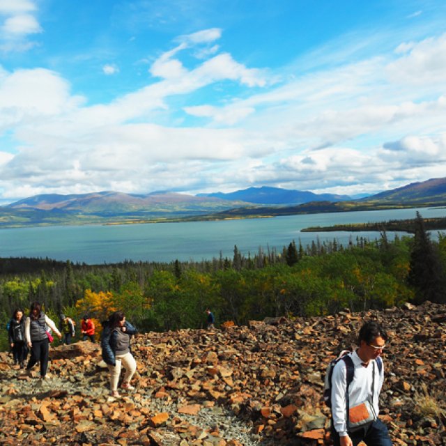 Arctic Day: Kluane National Park Tour | full day (Sep 10, 2017)