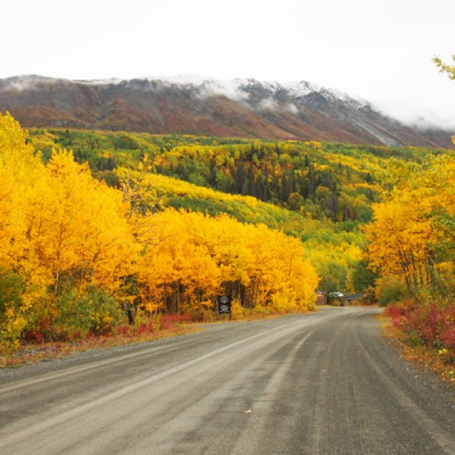 Arctic Day: Kluane National Park Tour | full day (Sep 11, 2017)