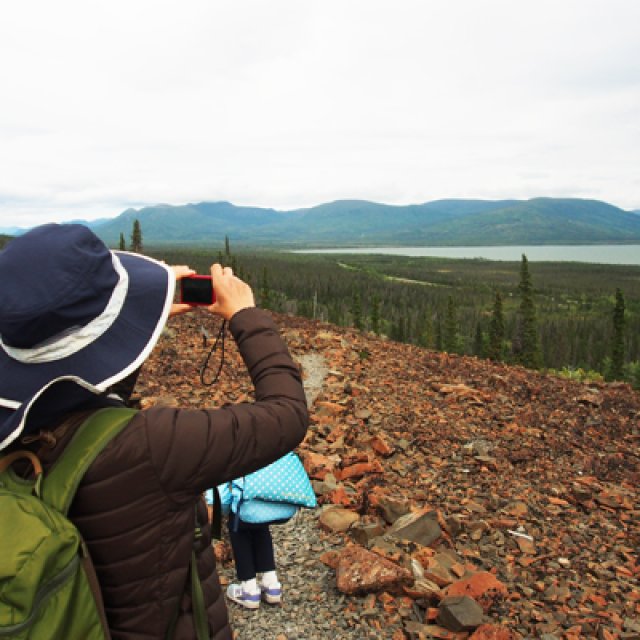 Arctic Day: Kluane National Park Tour | full day (Aug 17, 2017)