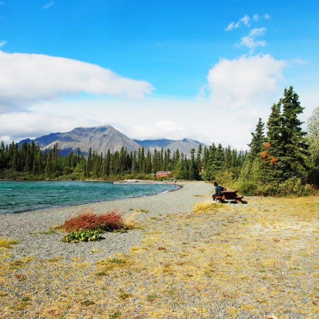 Arctic Day: Kluane National Park Tour | full day (Aug 22, 2018)