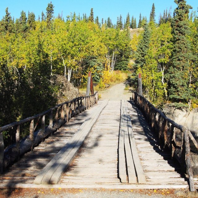 Arctic Day: Kluane National Park Tour | full day (Sep 10, 2018)