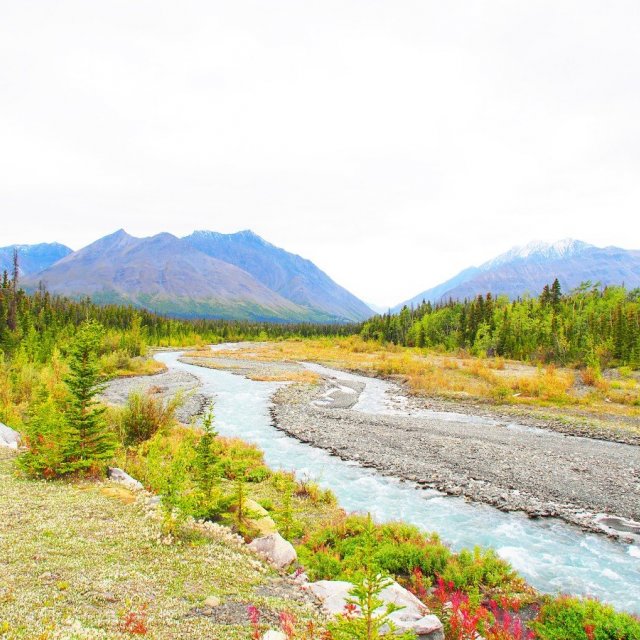 Arctic Day: Kluane National Park Tour | full day (Aug 20, 2019)