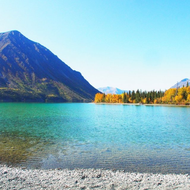 Arctic Day: Kluane National Park Tour | full day (Sep 6, 2019)