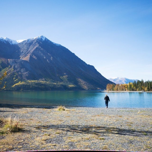 Arctic Day: Kluane National Park Tour | full day (Sep 21, 2018)