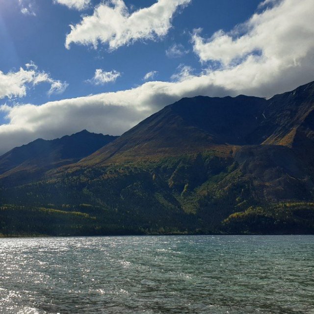 Arctic Day: Kluane National Park Tour | full day (Sep 12, 2021)