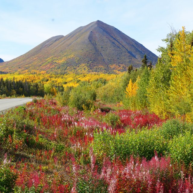 Arctic Day: Kluane National Park Tour | full day (September 9, 2014)