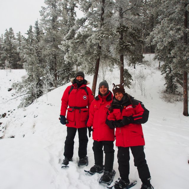 Arctic Day: Snowshoeing | half day (Dec 16, 2016)