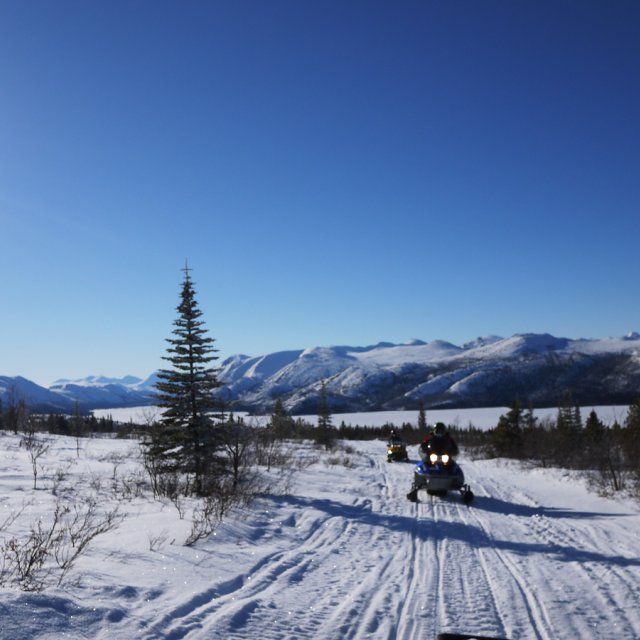 Arctic Day: Snowmobiling | half day (Feb 25, 2015)