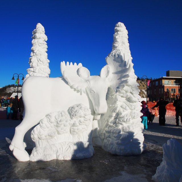 Arctic Day: Sourdough Rendezvous | City Tour (Feb 22, 2014)
