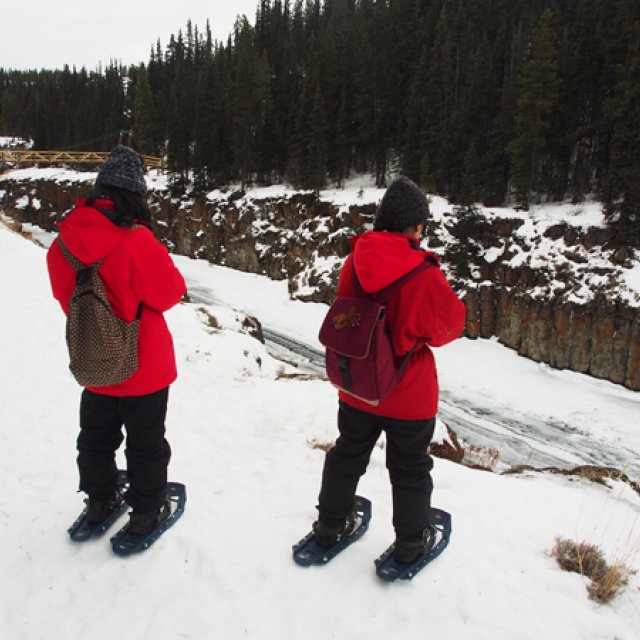 Arctic Day: Snowshoeing | half day (Feb 19, 2017)