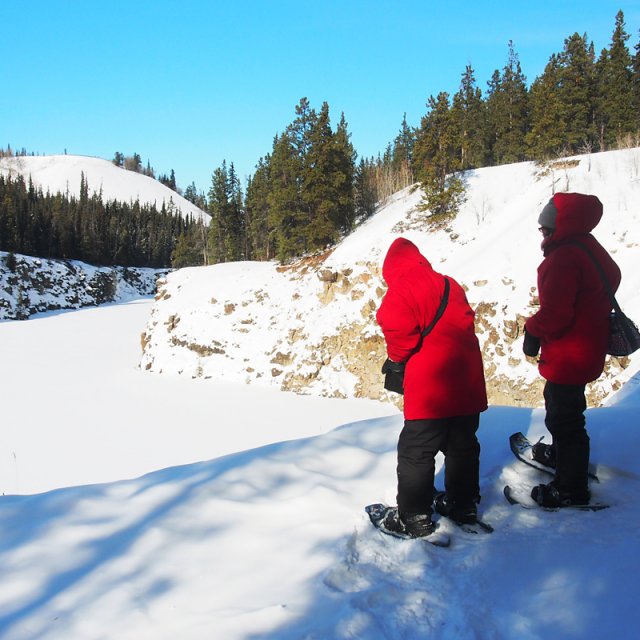 Arctic Day: Snowshoeing | half day (Mar 6, 2017)