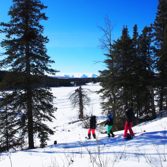 Arctic Day: Snowshoeing | half day (Mar 22, 2016)