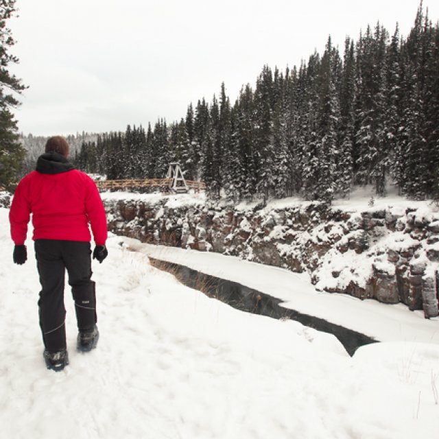Arctic Day: Snowshoeing | half day (Dec 30, 2016)