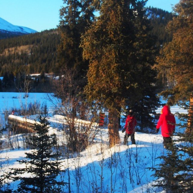 Arctic Day: Snowshoeing | half day (Jan 3, 2019)