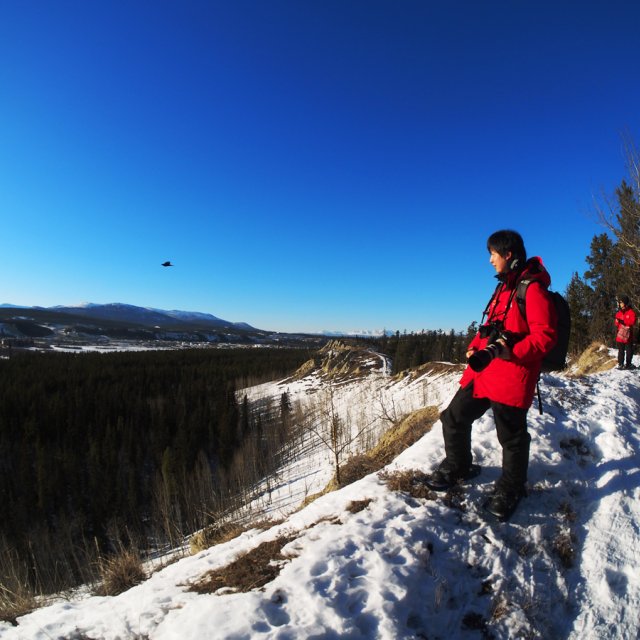 Arctic Day: Snowshoeing | half day (Mar 3, 2014)