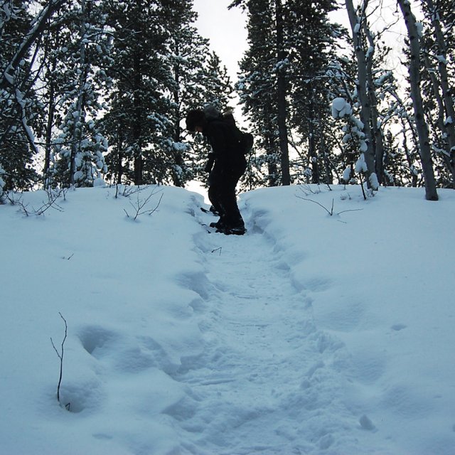 Arctic Day: Snowshoeing | half day (Jan 23, 2013)