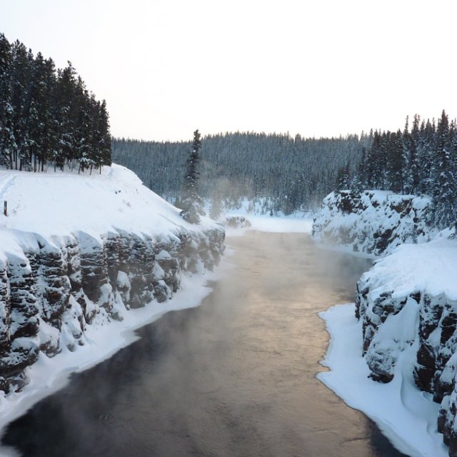 Arctic Day: Snowshoeing | half day (Dec 20, 2013)