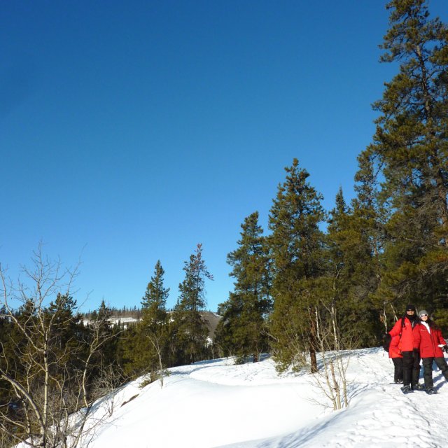 Arctic Day: Snowshoeing | half day (Feb 5, 2014)