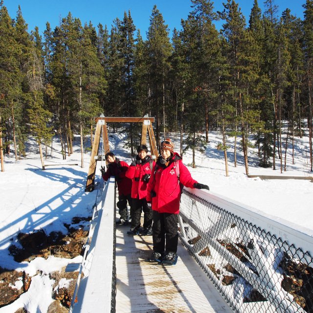 Arctic Day: Snowshoeing | half day (Mar 2, 2014)