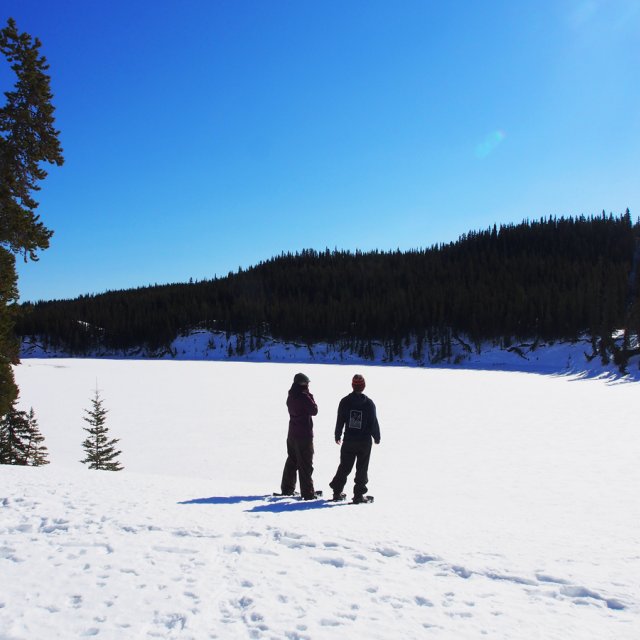 Arctic Day: Snowshoeing | half day (Mar 29, 2014)