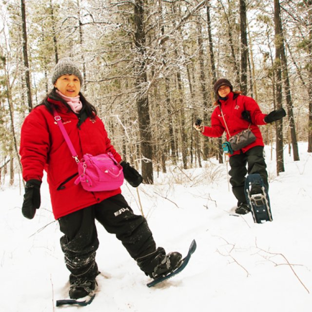 Arctic Day: Snowshoeing | half day (Dec 11, 2015)