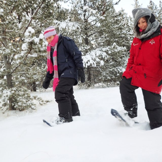 Arctic Day: Snowshoeing | half day (Dec 21, 2015)