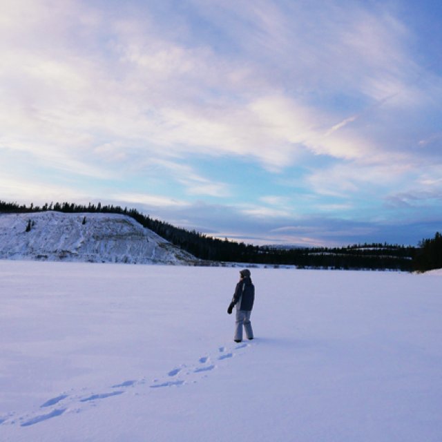 Arctic Day: Snowshoeing | half day (Dec 30, 2015)