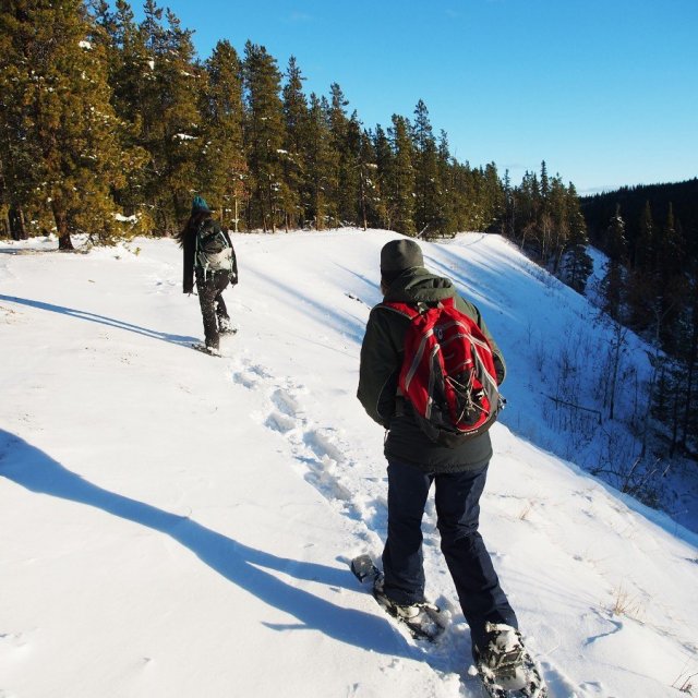 Arctic Day: Snowshoeing Tour | half day (Nov 17, 2018)