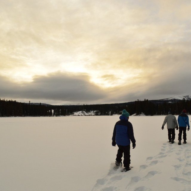 Arctic Day: Snowshoeing Tour | half day (Dec 17, 2018)