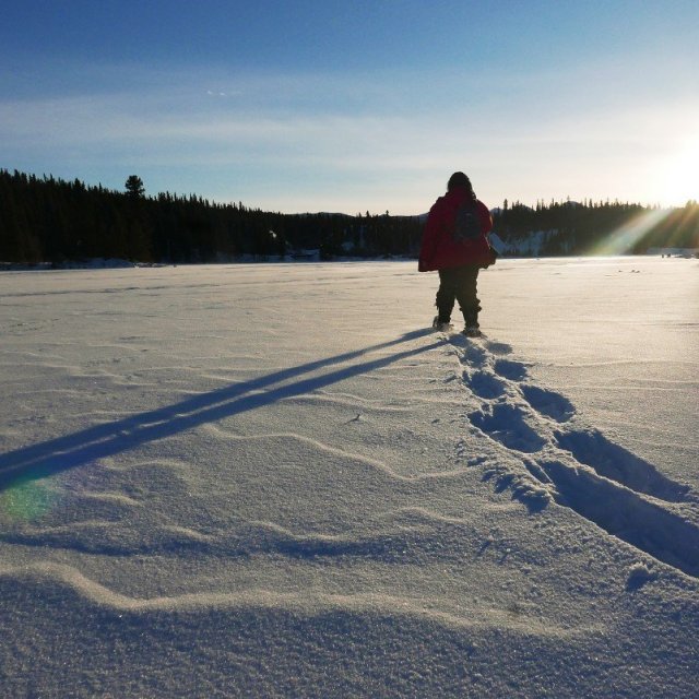 Arctic Day: Snowshoeing Tour | half day (Jan 25, 2019)