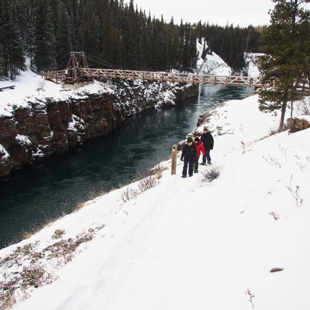 Arctic Day: Snowshoeing Tour | half day (Nov 19, 2019)