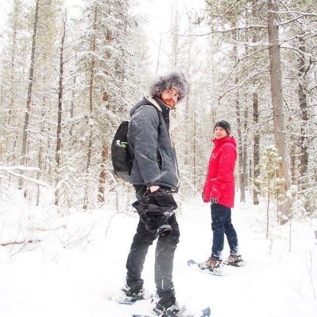 Arctic Day: Snowshoeing Tour | half day (Dec 12, 2019)