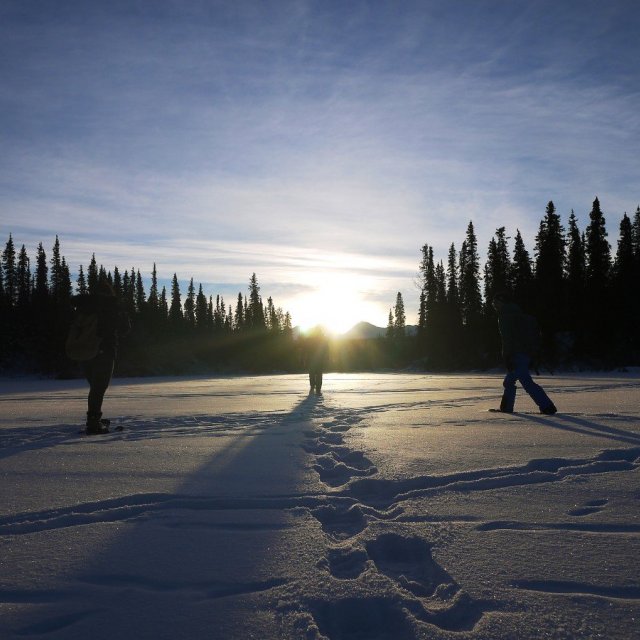 Arctic Day: Snowshoeing Tour | half day (Dec 12, 2018)