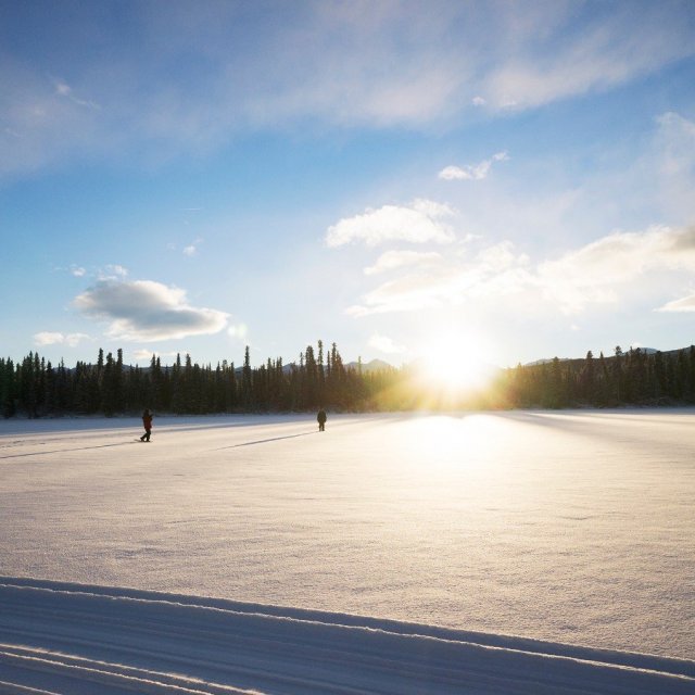 Arctic Day: Snowshoeing Tour | half day (Dec 28, 2018)