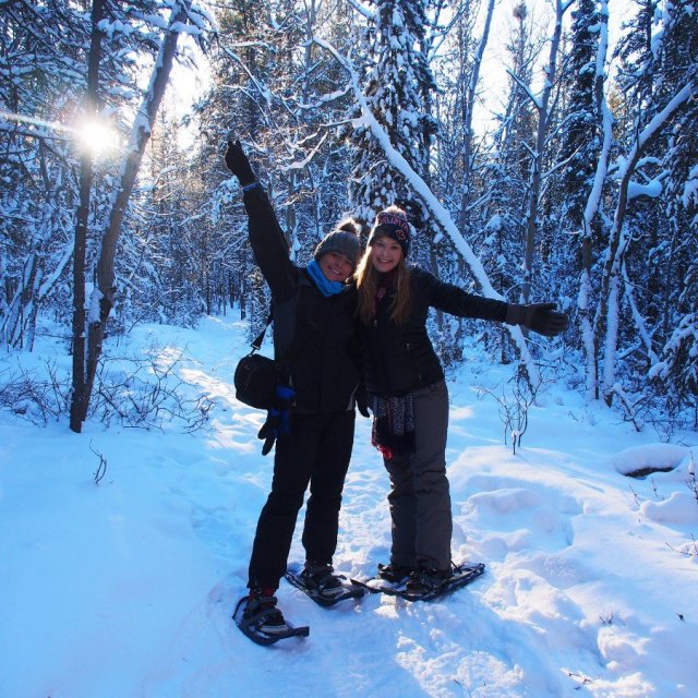 Arctic Day: Snowshoeing Tour | half day (Feb 2, 2020)