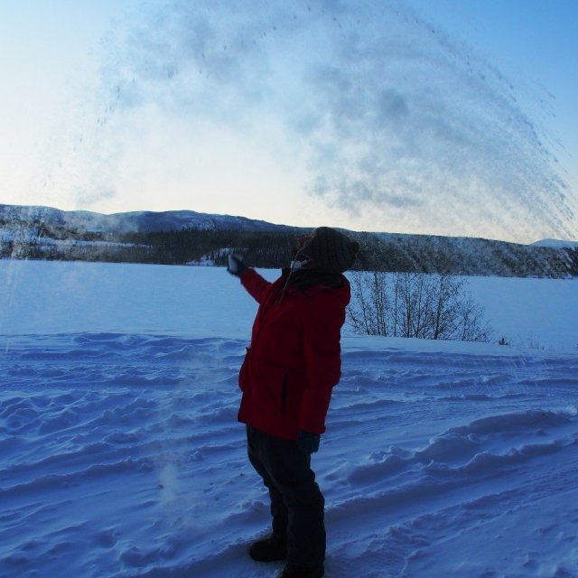 Arctic Day: Snowshoeing | half day (Dec 4, 2021)