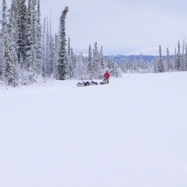 Arctic Day: Taste the snow | Multi-activity tour (January 10, 2013)