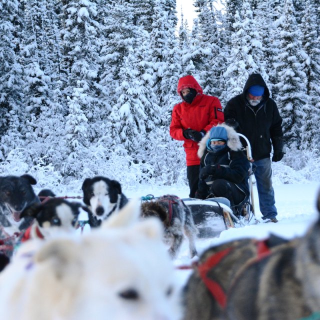 Arctic Day: Taste the snow | Multi-activity tour (Dec 1, 2013)
