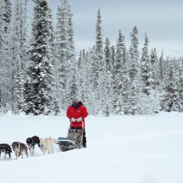 Arctic Day: Taste the snow | Multi-activity tour (Jan 11, 2014)